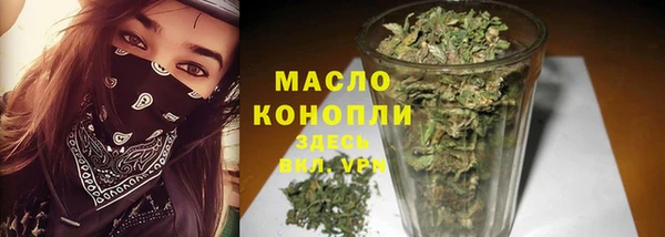 индика Бронницы