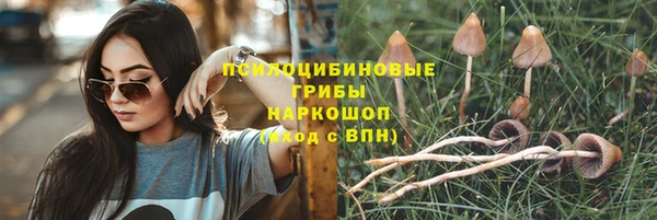 мескалин Каменногорск