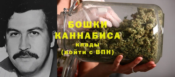 spice Верея