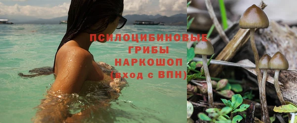 прущая мука Волоколамск